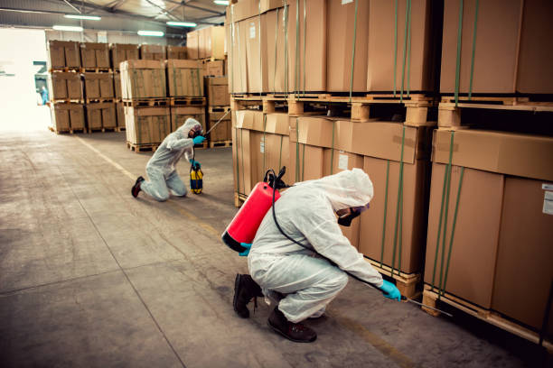 Trusted Griffith, IN Pest Control Experts