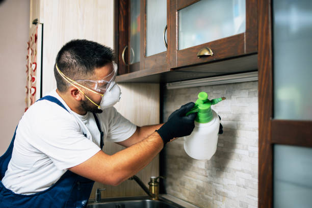 Best Pest Control Near Me  in Griffith, IN