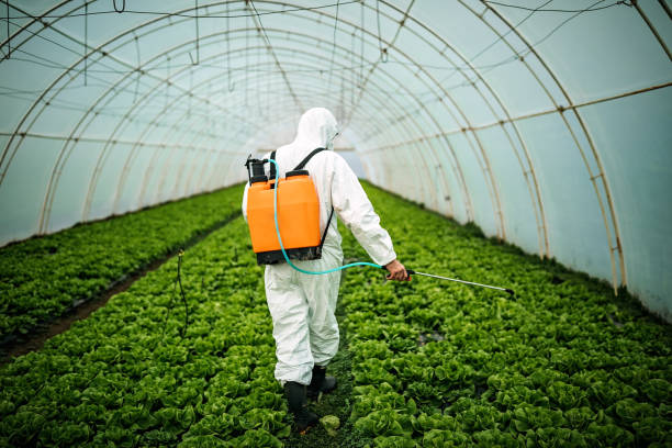 Best Best Pest Control Near Me  in Griffith, IN