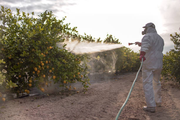 Wildlife Control Services in Griffith, IN
