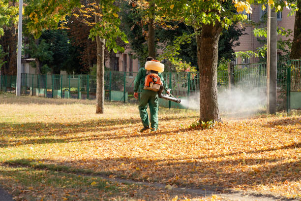 Professional Pest Control in Griffith, IN