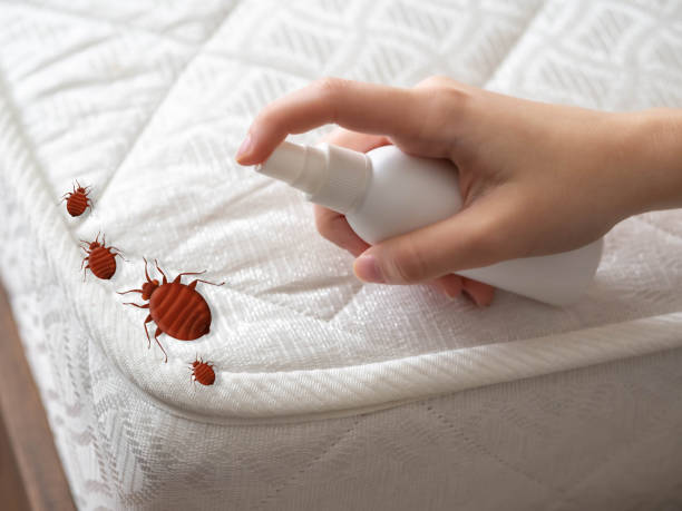 Best Emergency Pest Control  in Griffith, IN