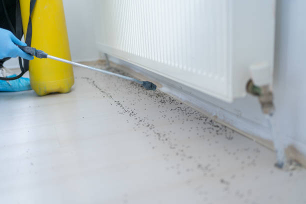 Insect Control in Griffith, IN
