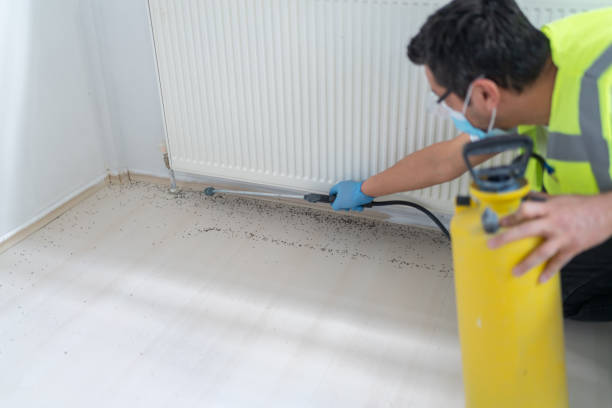 Best Flea Control Services  in Griffith, IN